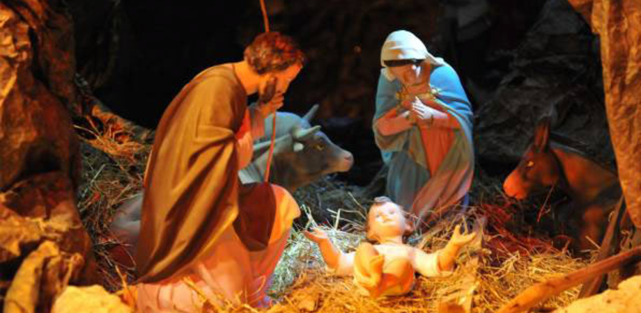 Immagini Di Natale Da Salvare.Natale Da Salvare Appello Di Pagano Ai Presidi Un Presepe In Ogni Scuola Seguo News